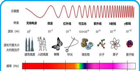 光的能量|光子的能量和频率之间的关系有哪些？